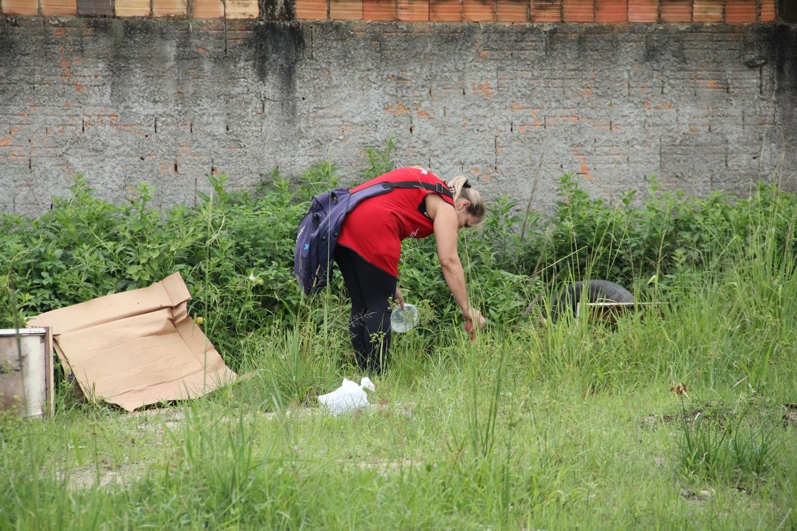 dengue4
