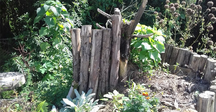 Horta urbana - Martha Batista Lima