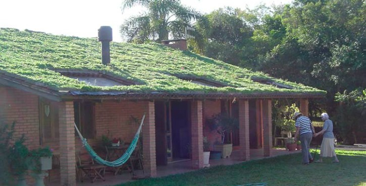 Projeto "Telhado Verde" é sancionado em Blumenau e virou lei