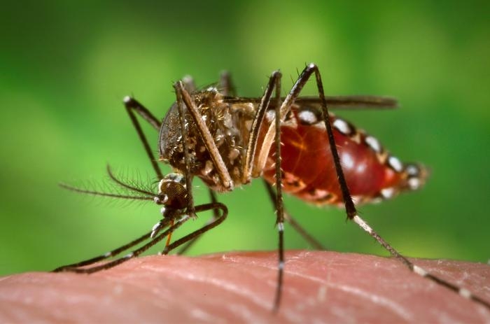 Prefeitura orienta trabalhadores de condomínio a eliminarem os criadouros do Aedes Aegypti