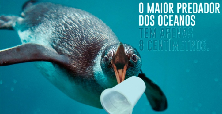 Prefeitura de Florianópolis inicia campanha de conscientização de descarte de plástico nos mares