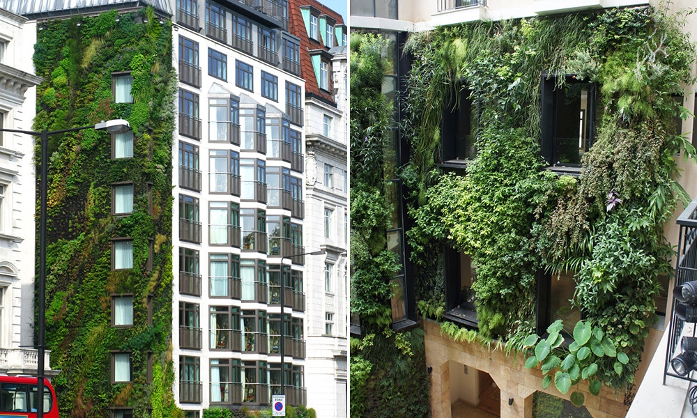 Jardins verticais são instalados em quatro prédios no Minhocão, em SP